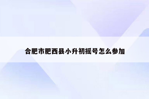 合肥市肥西县小升初摇号怎么参加