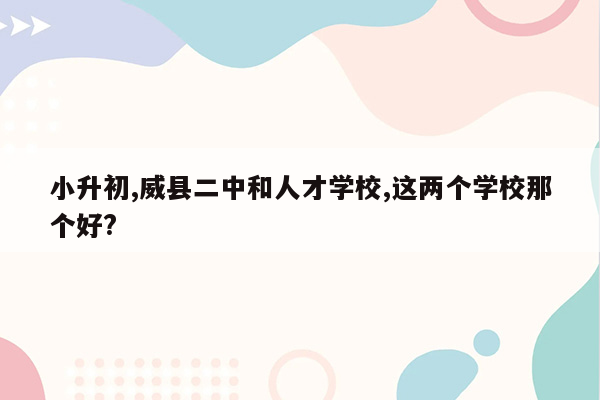 小升初,威县二中和人才学校,这两个学校那个好?