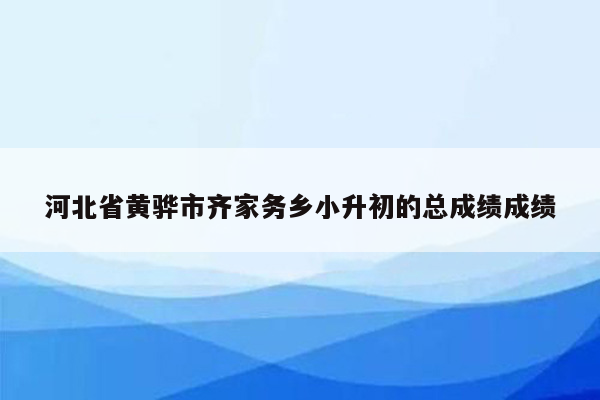 河北省黄骅市齐家务乡小升初的总成绩成绩