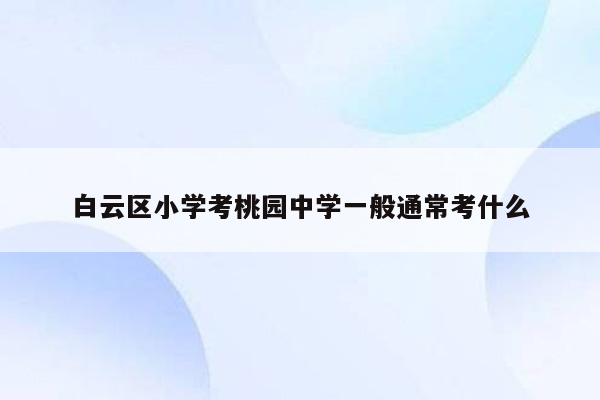 白云区小学考桃园中学一般通常考什么