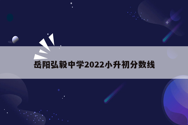 岳阳弘毅中学2022小升初分数线