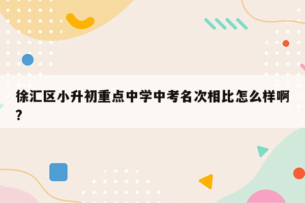 徐汇区小升初重点中学中考名次相比怎么样啊?