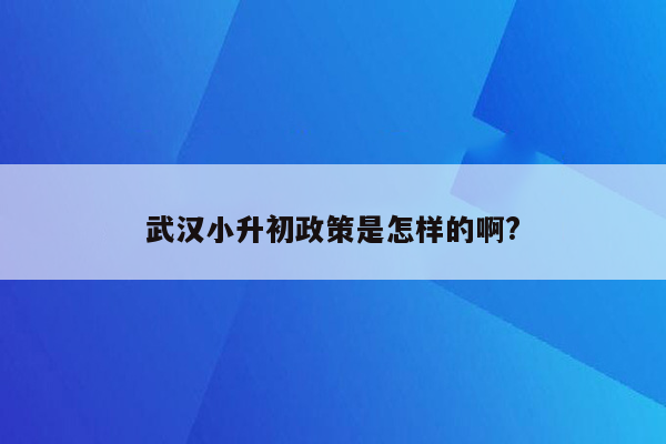 武汉小升初政策是怎样的啊?