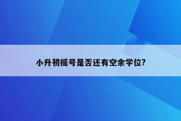 小升初摇号是否还有空余学位?