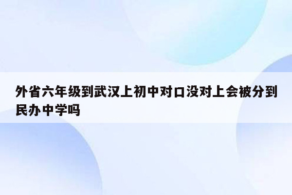 外省六年级到武汉上初中对口没对上会被分到民办中学吗