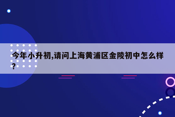 今年小升初,请问上海黄浦区金陵初中怎么样?