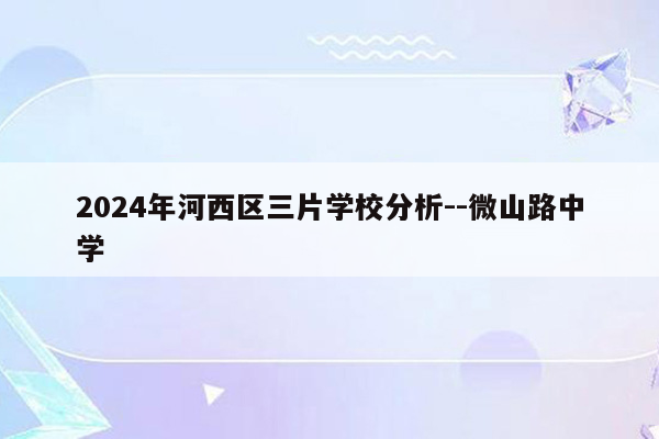 2024年河西区三片学校分析--微山路中学