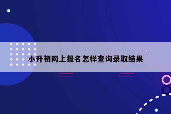 小升初网上报名怎样查询录取结果