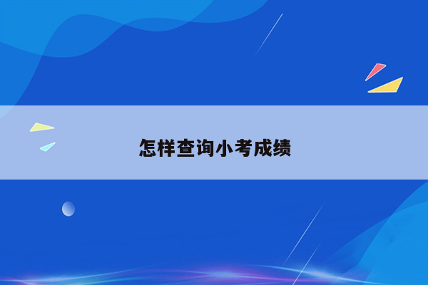 怎样查询小考成绩