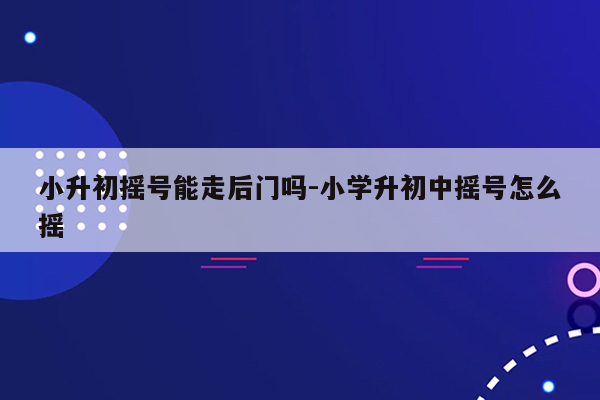 小升初摇号能走后门吗-小学升初中摇号怎么摇