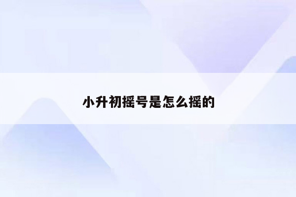 小升初摇号是怎么摇的