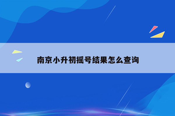 南京小升初摇号结果怎么查询