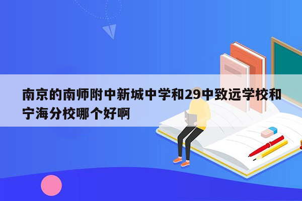 南京的南师附中新城中学和29中致远学校和宁海分校哪个好啊