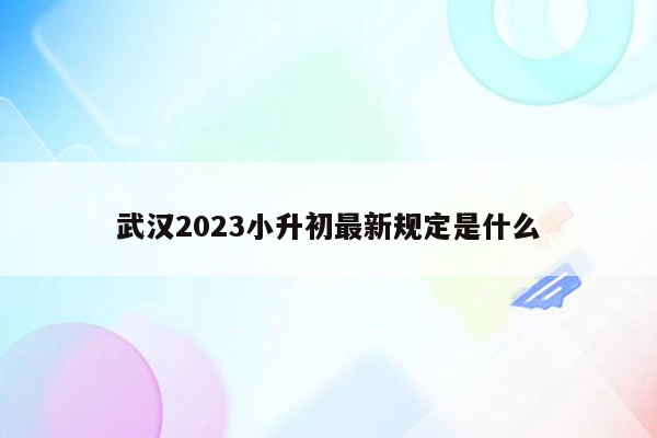 武汉2023小升初最新规定是什么