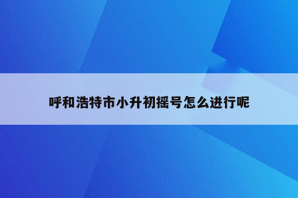 呼和浩特市小升初摇号怎么进行呢