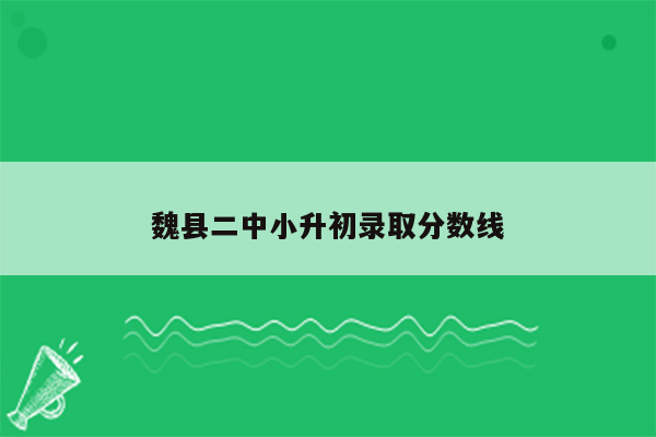 魏县二中小升初录取分数线