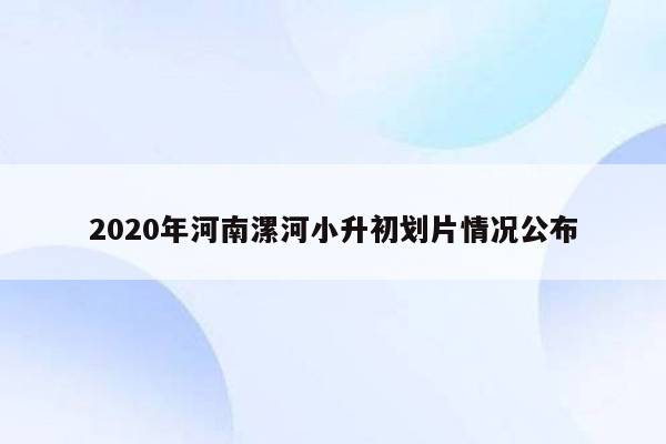 2020年河南漯河小升初划片情况公布