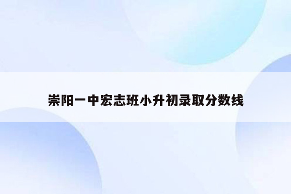 崇阳一中宏志班小升初录取分数线