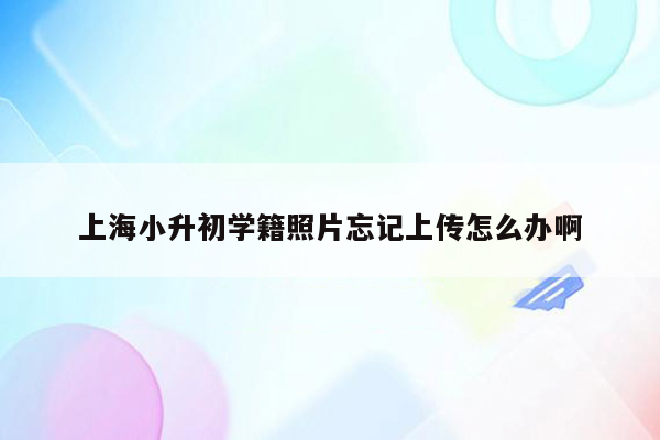 上海小升初学籍照片忘记上传怎么办啊