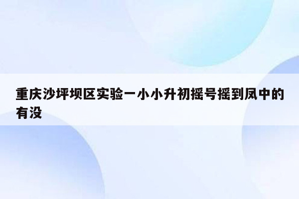 重庆沙坪坝区实验一小小升初摇号摇到凤中的有没