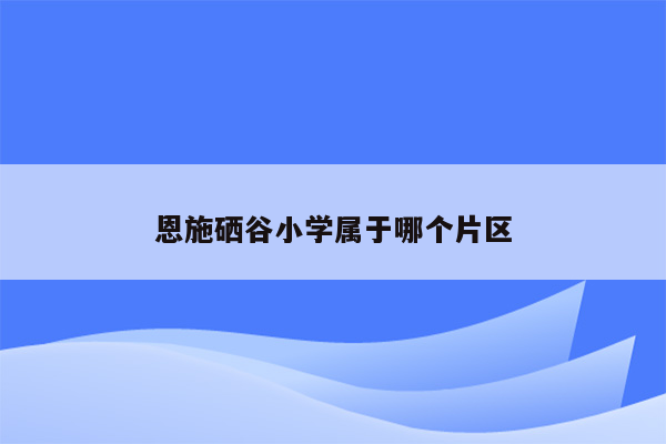 恩施硒谷小学属于哪个片区