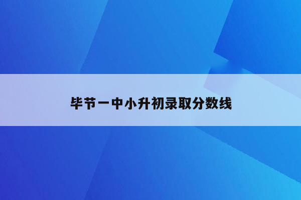 毕节一中小升初录取分数线