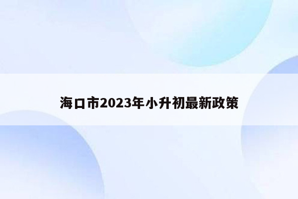 海口市2023年小升初最新政策