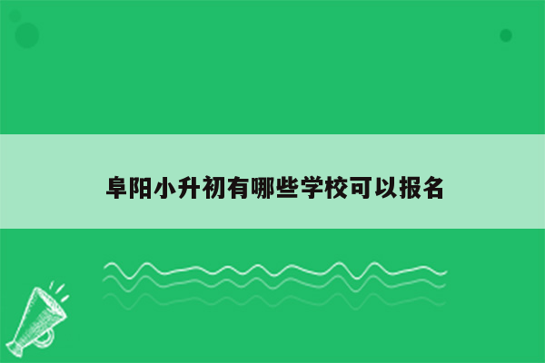 阜阳小升初有哪些学校可以报名