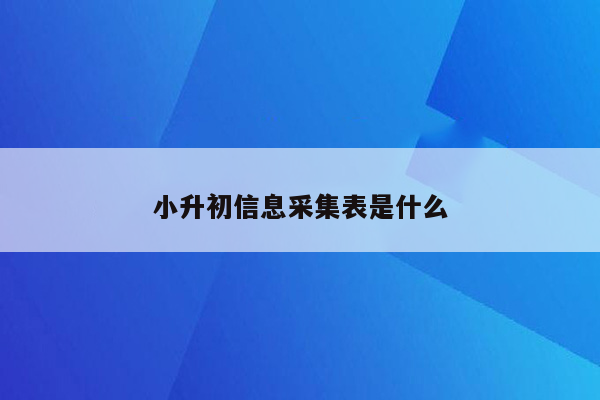 小升初信息采集表是什么