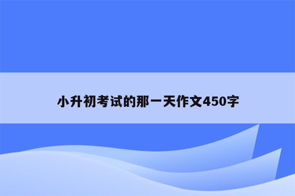 小升初考试的那一天作文450字