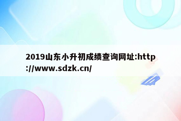 2019山东小升初成绩查询网址:http://www.sdzk.cn/