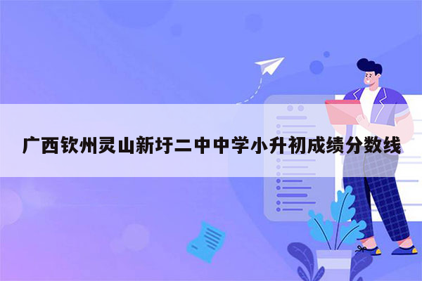 广西钦州灵山新圩二中中学小升初成绩分数线