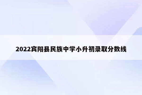 2022宾阳县民族中学小升初录取分数线