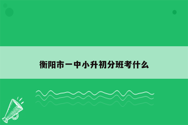 衡阳市一中小升初分班考什么