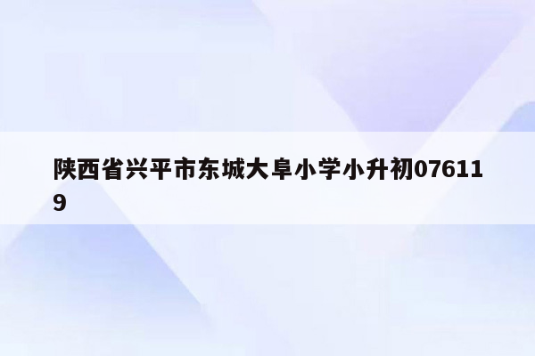 陕西省兴平市东城大阜小学小升初076119