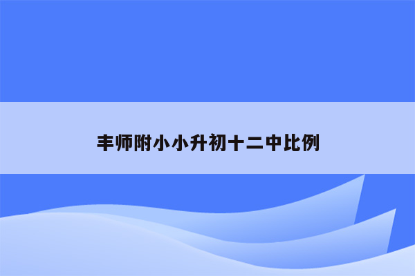 丰师附小小升初十二中比例