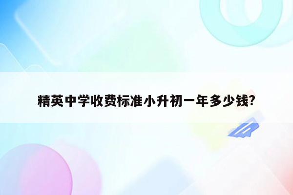 精英中学收费标准小升初一年多少钱?