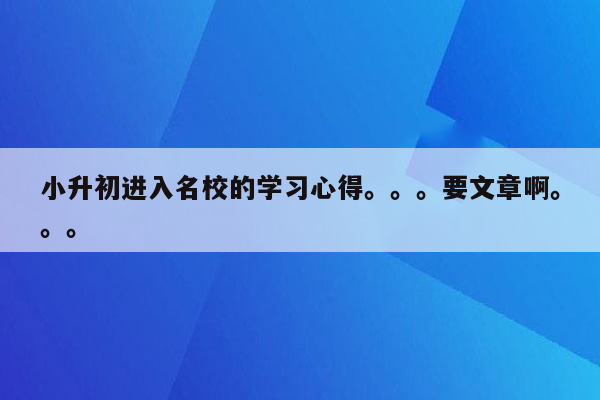 小升初进入名校的学习心得。。。要文章啊。。。