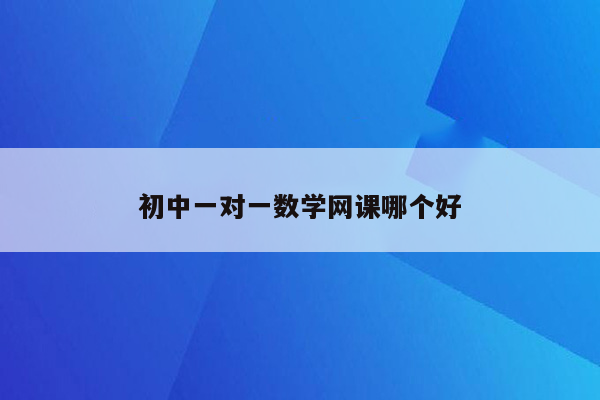 初中一对一数学网课哪个好