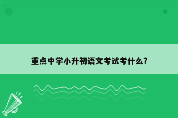 重点中学小升初语文考试考什么?