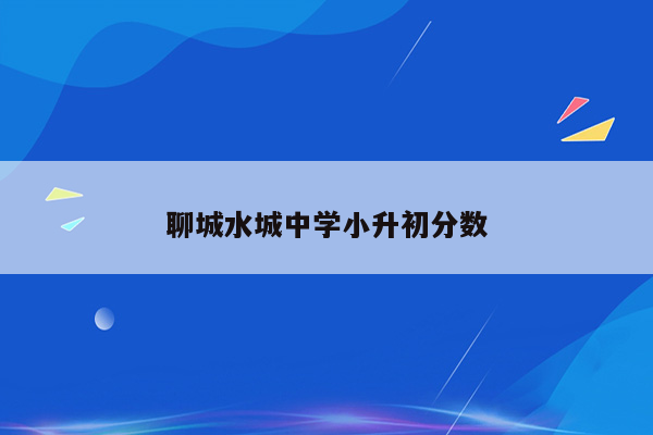 聊城水城中学小升初分数