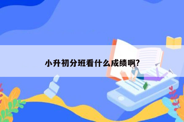 小升初分班看什么成绩啊?