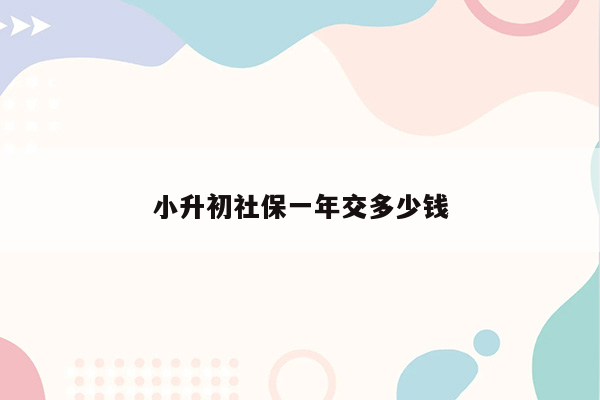 小升初社保一年交多少钱