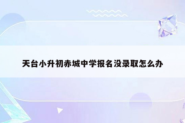 天台小升初赤城中学报名没录取怎么办