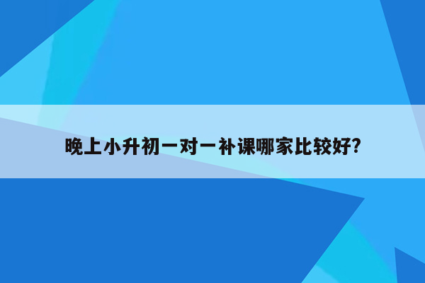 晚上小升初一对一补课哪家比较好?