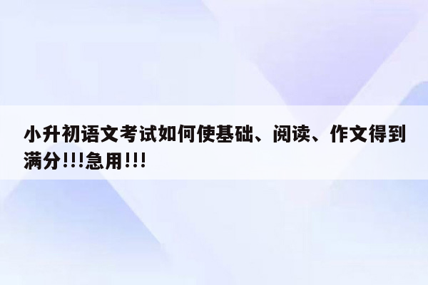 小升初语文考试如何使基础、阅读、作文得到满分!!!急用!!!