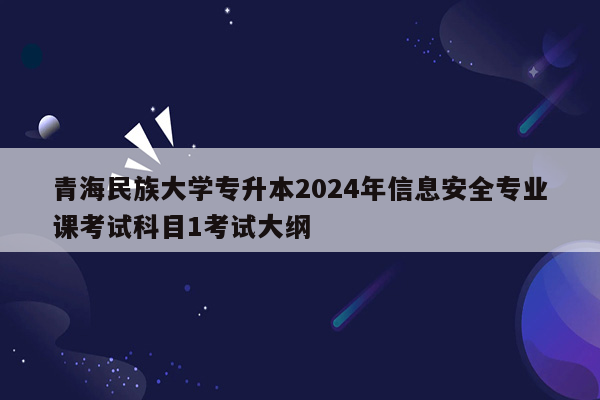 青海民族大学专升本2024年信息安全专业课考试科目1考试大纲