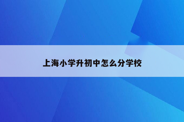 上海小学升初中怎么分学校