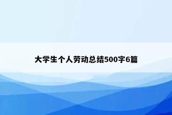 大学生个人劳动总结500字6篇