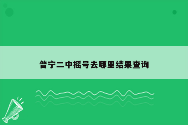 普宁二中摇号去哪里结果查询